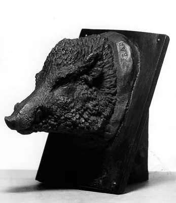 Boar's Head