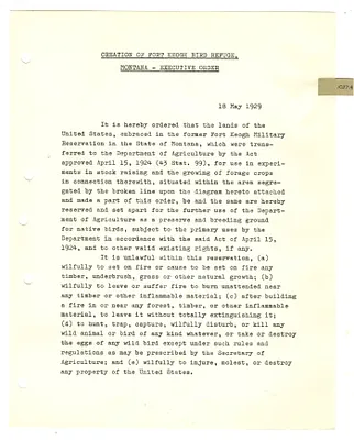 p. 11