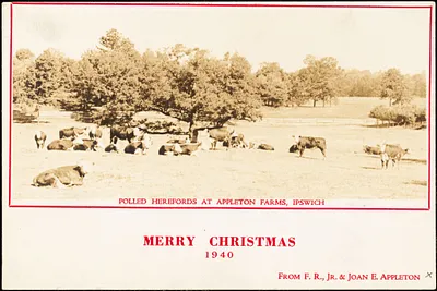 Polled Herefords at Appleton Farms, Ipswich. Merry Christmas, 1940, from F.R., Jr. & Joan E. Appleton