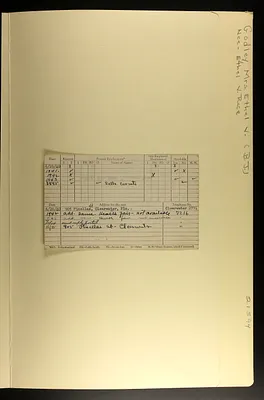 p. 7