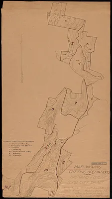 Harvard Forest Slab City Cutting Operations 1908-21