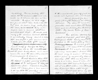 p. 43