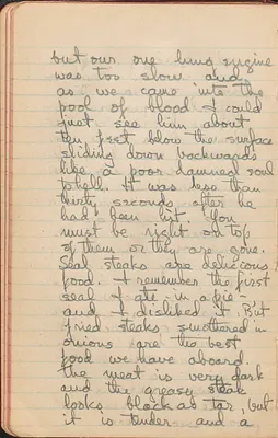 p. 41