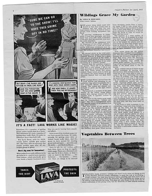 p. 6