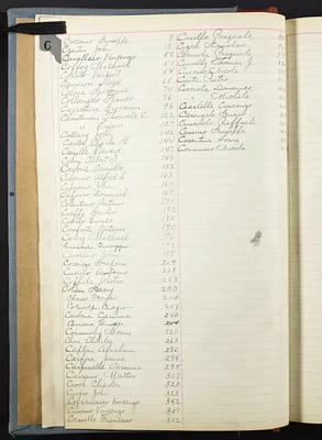 p. 4