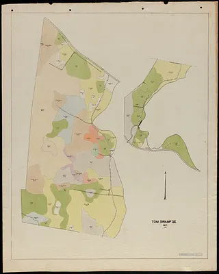 Tom Swamp VII 1927 stand map