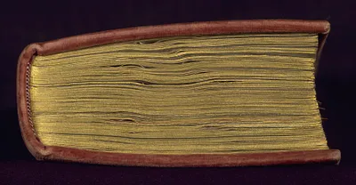 p. 7