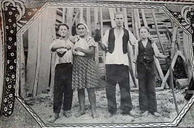 Žetveni radovi