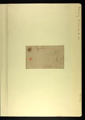 p. 5