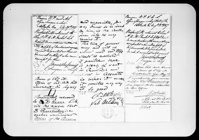 p. 31