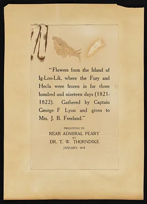 p. 10