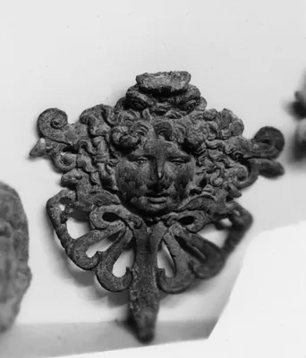 Head of the Medusa