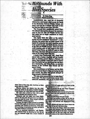 p. 38