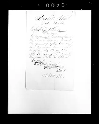 p. 31