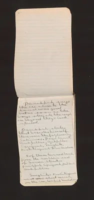 p. 7