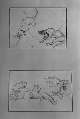 Mastiffs and the Head of a Wild Boar