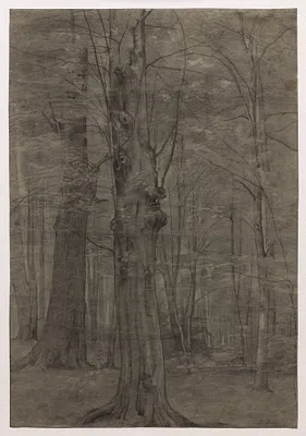 Trees