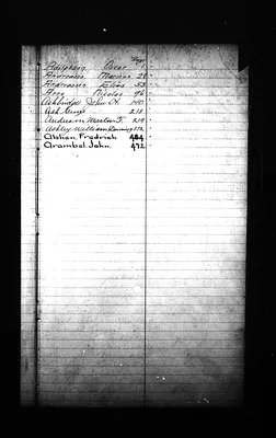 p. 8