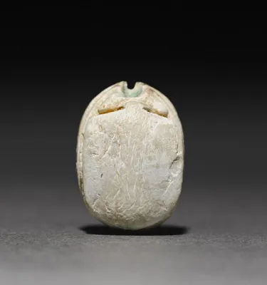 Scarab
