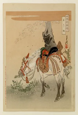 Presentation pony tied to a cherry tree