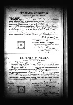 p. 19