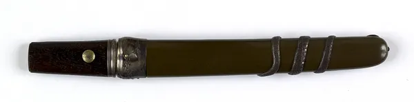 Dagger (aikuchi) with insects and a snake (includes 51.1165.1-51.1165.3)