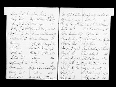 p. 29