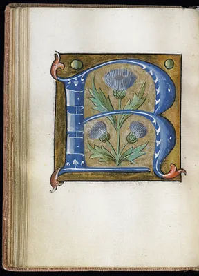 Leaf from Alphabet Book