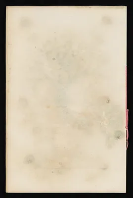 p. 39