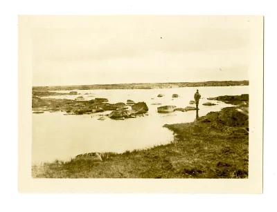p. 5