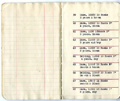 p. 6