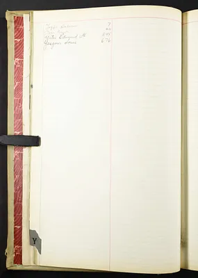 p. 26