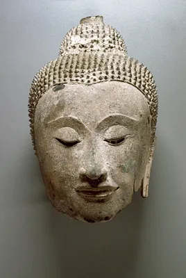 Head of the Buddha