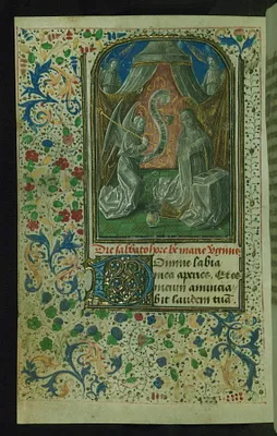 p. 7
