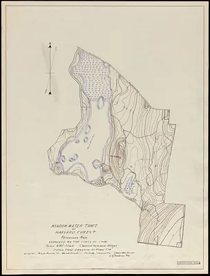 Topographic map of Meadow-water Tract (TS I-VII)