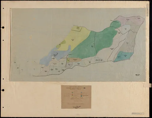 Prospect Hill Compartment II Stand Maps 1925-1927