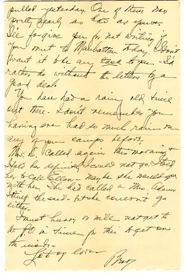 p. 3