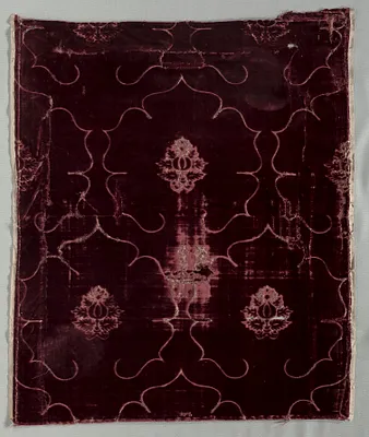 Velvet Fragment