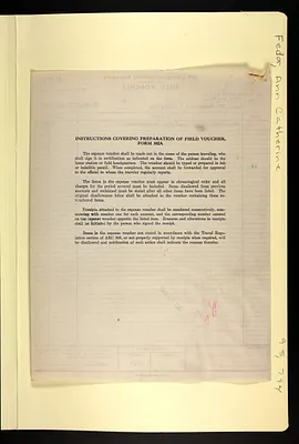 p. 31