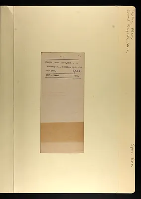 p. 7