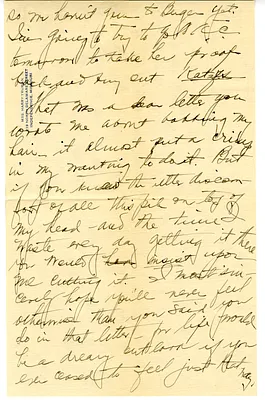 p. 3