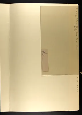 p. 11