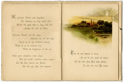 p. 7