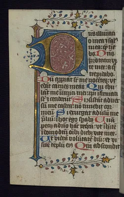 Foliate Initial ""D""