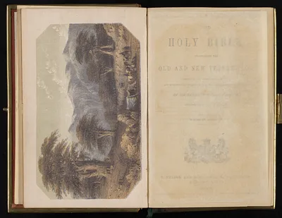 p. 7