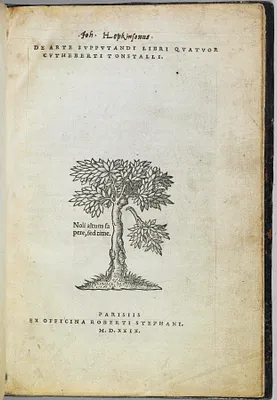 p. 2