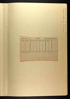 p. 31
