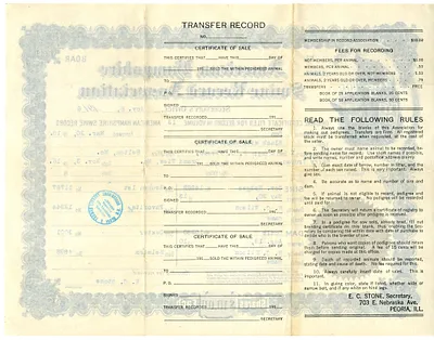 p. 2