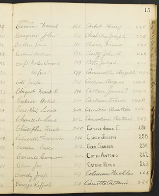 p. 17
