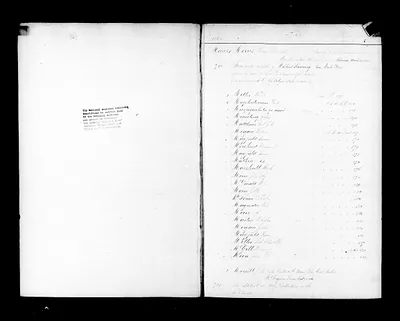 p. 11